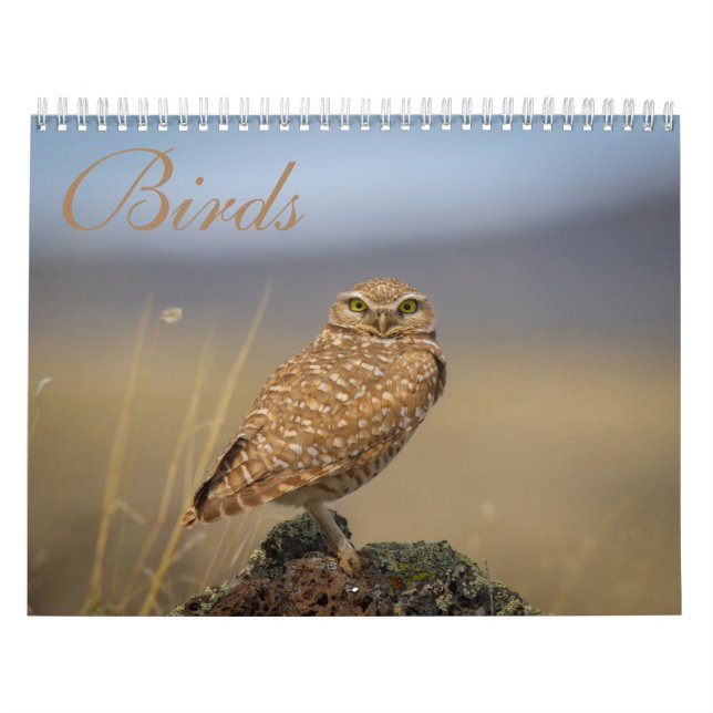 Vogelkalender Kalender (Titelbild)