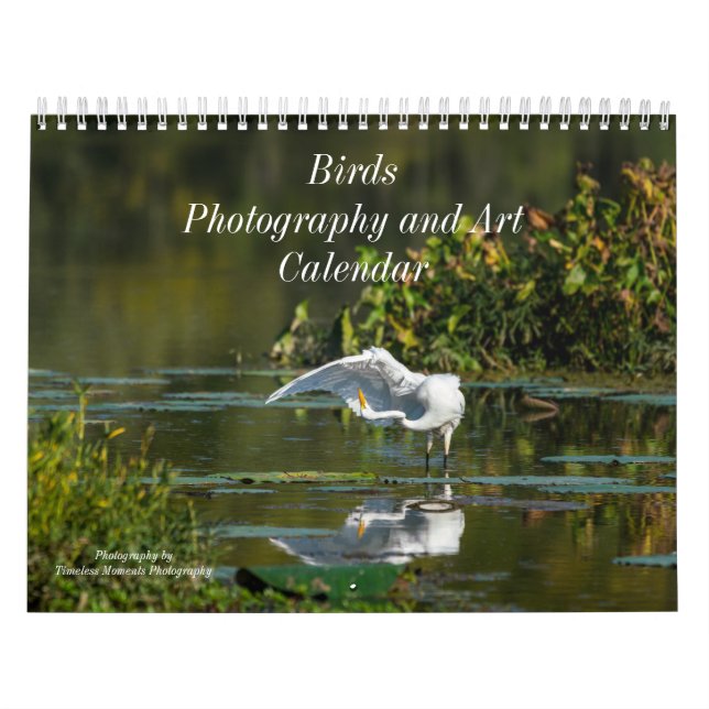 Vogelkalender Kalender (Titelbild)