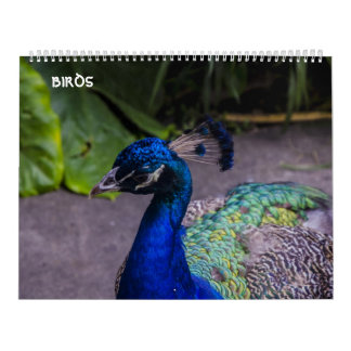 Vogelkalender Kalender