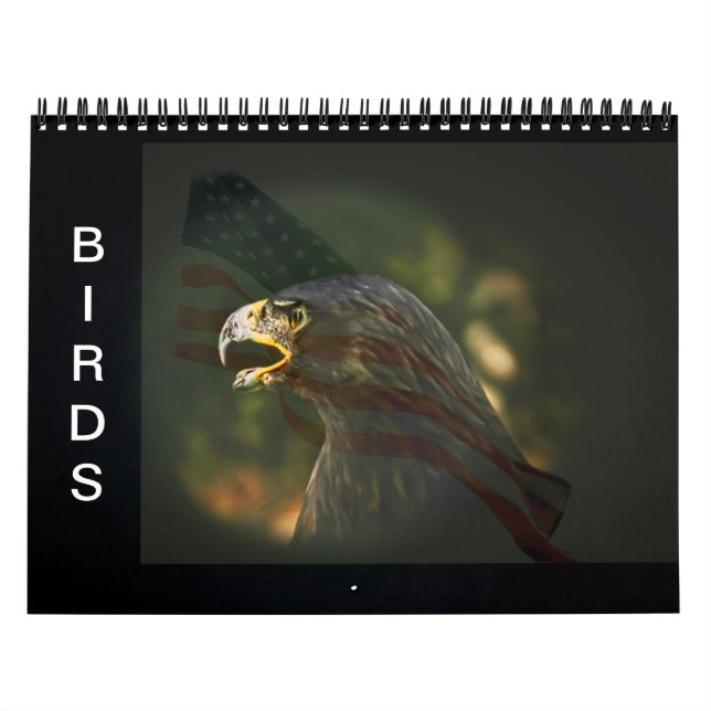 Vogelkalender Kalender (Titelbild)