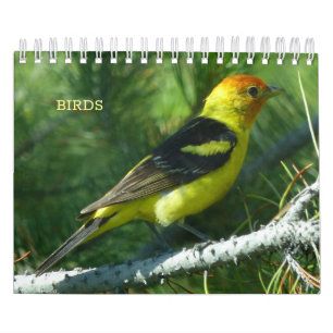 Vogelkalender Kalender