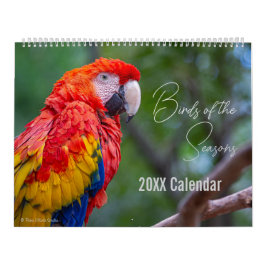 Vogelkalender Wählen Sie Ihren Startmonat / Ihr St Kalender