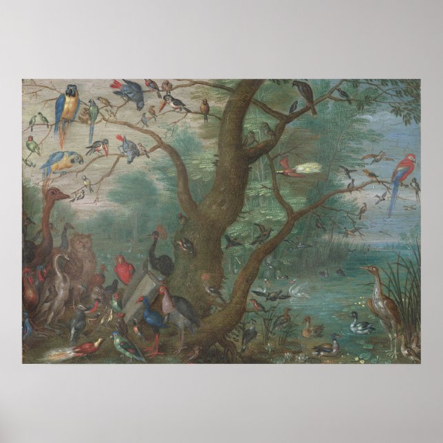 Vogelkonzert - Jan van Kessel Kunstposter Poster (Vorne)