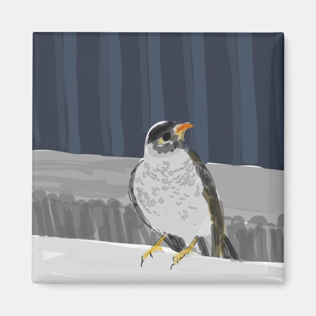 Vogelmagnet auf der Schiene Magnet (Vorne)