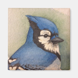 Vogelmagnete Kühlschrankmagnet Vogelbeobachter