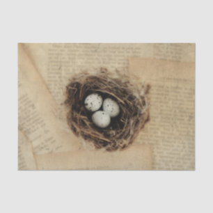Vogelnest alte Vintage-Antik-Retro-braune Eier Seidenpapier