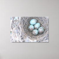 Vogelnest-Blaueier-Naturfotografie-Leinwand