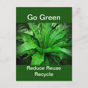 Vogelnest Fern - Grün Postkarte