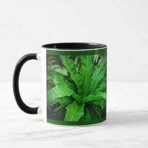 Vogelnest Fern Tasse