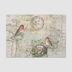 Vogelnest-Karten-Musik Französischer Poststempel V Seidenpapier