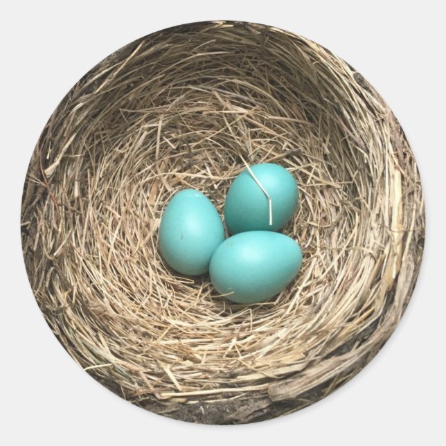 Vogelnest mit blauen Eiern Runder Aufkleber (Vorderseite)