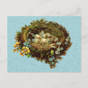 VOGELNEST MIT EIERN VINTAGE POSTKARTE