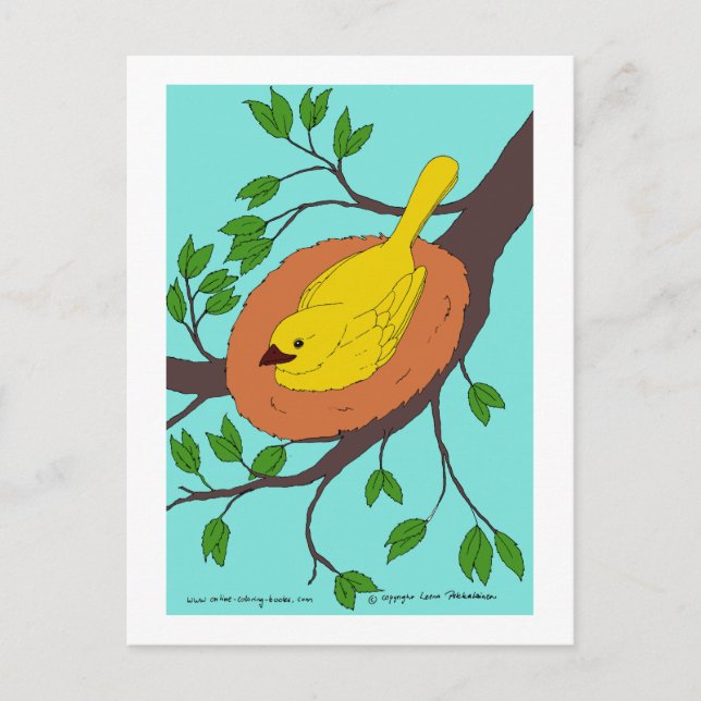 Vogelnest Postkarte (Vorderseite)