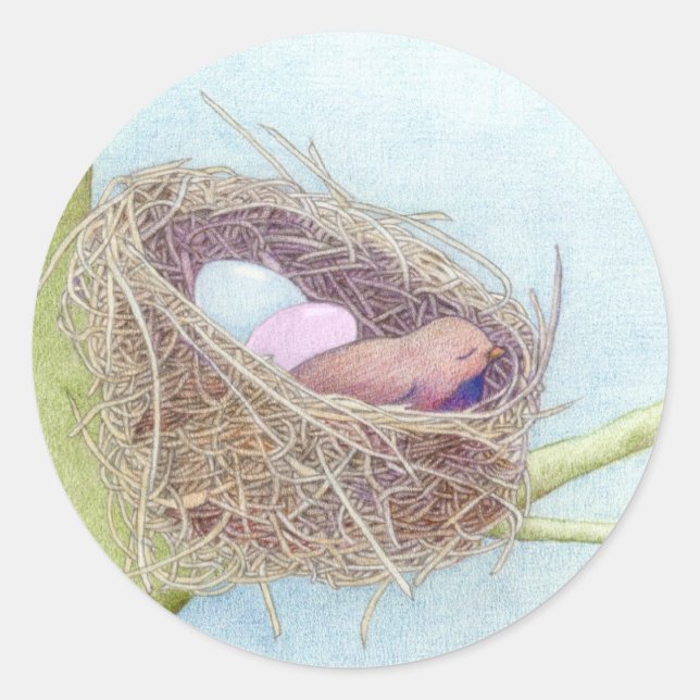 Vogelnest-Sticker Runder Aufkleber (Vorderseite)