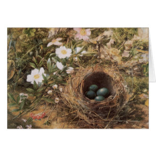 Vogelnest und Hundsrosen von John William Hill