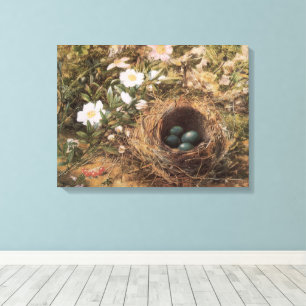 Vogelnest und Hundsrosen von John William Hill Leinwanddruck