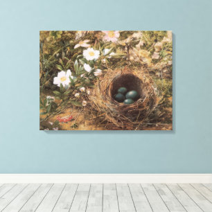 Vogelnest und Hundsrosen von John William Hill Leinwanddruck