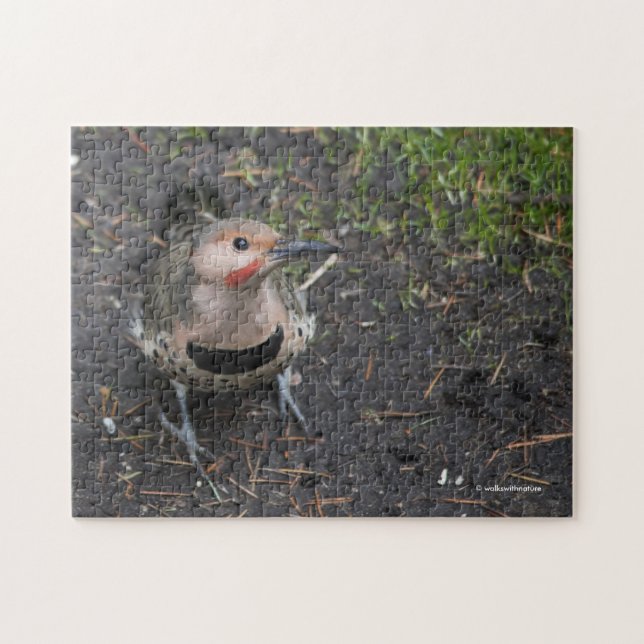 Vogelperspektive des Buntspechts (Horizontal)