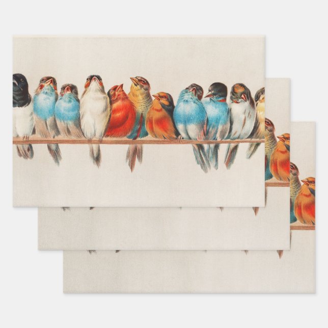 Vogelperspektive, Vogelkunst, Vogelkunst, Vogelkun Geschenkpapier Set (Set)