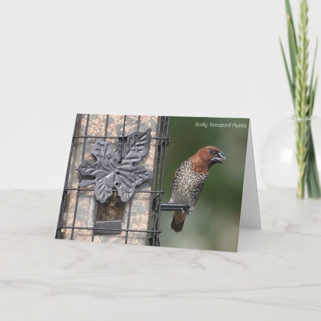 Vogelsammlung: Gewürzfinch (leere Notizen) Karte (Vorderseite)