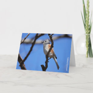 Vogelsammlung: Haubenmeise (leere Notizkarten) Karte