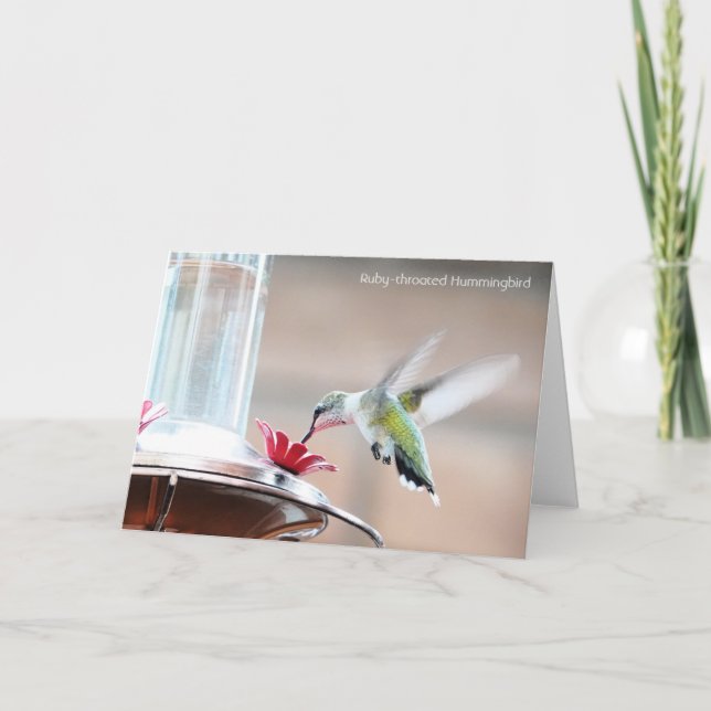 Vogelsammlung: Hummingbird (leere Notizen) Karte (Vorderseite)