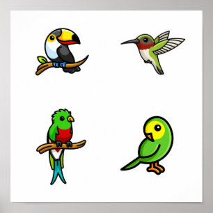 Vogelsammlung Poster