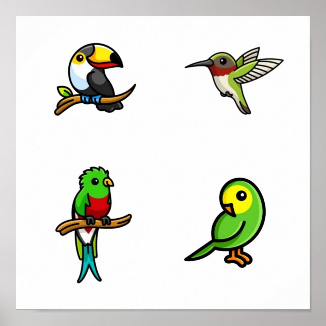 Vogelsammlung Poster (Vorne)
