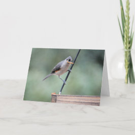 Vogelsammlung: Tufted Titmouse (leere Notizen) Karte