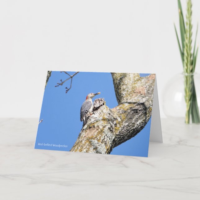 Vogelsammlung: Woodpecker (Blankonotizen) Karte (Vorderseite)