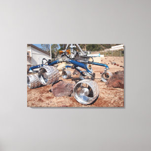 Vogelscheuche, ein Mobilitätprüfung Modell Leinwanddruck