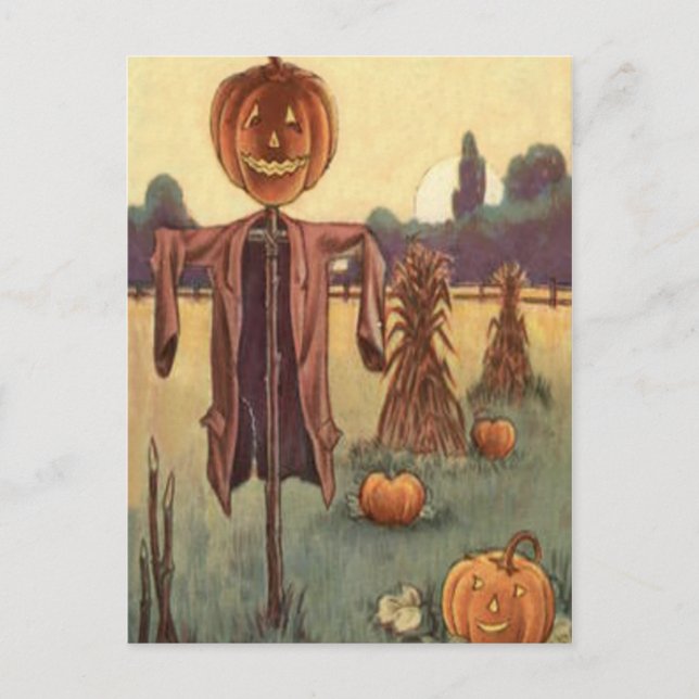Vogelscheuche Jack O Lantern Kürbis Postkarte (Vorderseite)