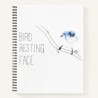 Vogelschutzgitter (Blaugrauer Gnatcatcher) Notizbuch