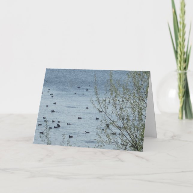 Vogelschutzkarte Karte (Vorderseite)