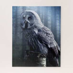Vogelschutzwald