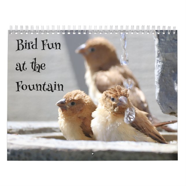 Vogelspass am Springbrunnen Kalender (Titelbild)