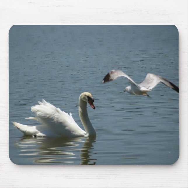 Vogelspiel mit Schwan Mousepad (Vorne)