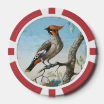 Vogelstudie von George Edwards (1694-1773)