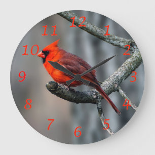 Vogeluhr im nördlichen Kardinal Große Wanduhr