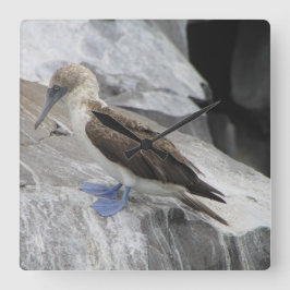 Vogeluhr Quadratische Wanduhr