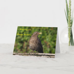 Vogelvogel Karte
