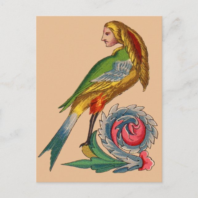 Vogelvogel Postkarte (Vorderseite)