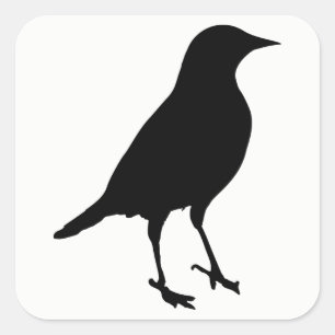 Vogelwelt-Silhouette Quadratischer Aufkleber