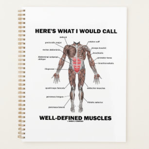 Voici ce que j'appellerais des muscles bien défin