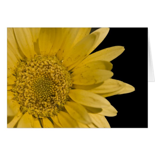 voici le soleil (Devant horizontal)