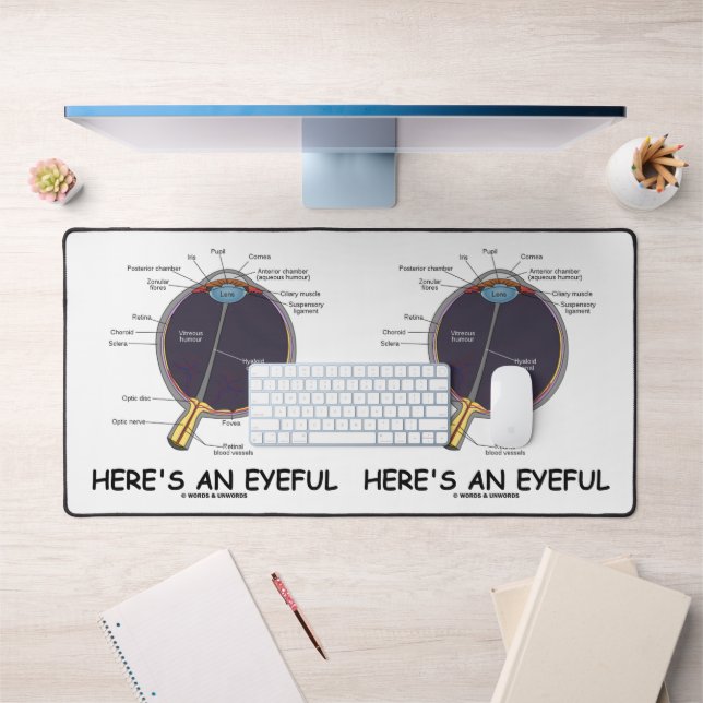 Voici un Humour Geek d'anatomie oculaire (Bureau 1)