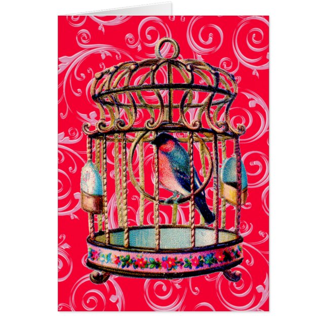 Voie à oiseaux Vintage (Devant)