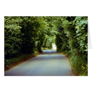 Voie arborée, Beach Cross, East Sussex, Angleterre