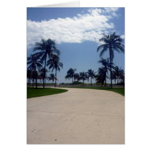 voie miami