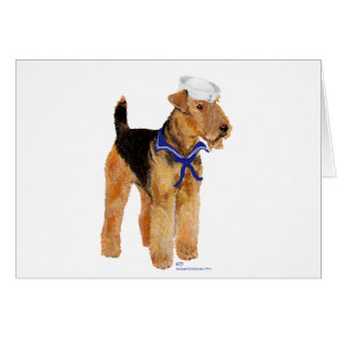 Voilier de chien salé